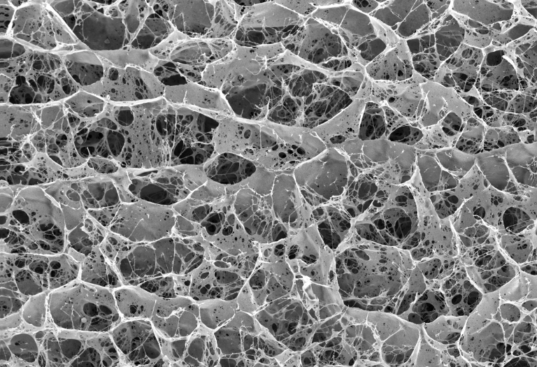 Agarose in water. Sample plunge-frozen in liquid nitrogen, then frozen water sublimated to reveal polymer matrix.