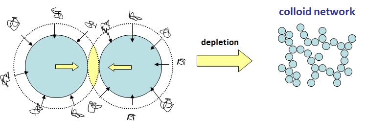 Schematic of depletion mechanism