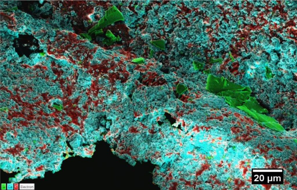 Cryo–energy-dispersive X-ray spectroscopy (EDX) of a dried paint, enabling detailed mapping of elemental and spatial distribution within dried films.