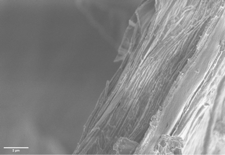 Etiam dapibus vehicula velit, eu luctus nulla ullamcorper at. Nam sagittis sagittis arcu, in lacinia lacus mattis id. Morbi ut ultricies eros, eu tincidunt quam. Ut non eros non massa tempus dignissim. Quisque in ex mollis, condimentum sapien a, semper nibh. Nunc erat mi, egestas quis diam eu, sollicitudin ultrices tellus. Nunc sollicitudin neque a ex sodales semper. Nam ac gravida neque, eu pellentesque lorem. Vestibulum sit amet luctus magna, et fringilla nisi. Suspendisse potenti. Sed luctus gravida arcu, a congue massa egestas ac. Pellentesque malesuada quam velit, vitae rhoncus enim hendrerit id. Lorem ipsum dolor sit amet, consectetur adipiscing elit.