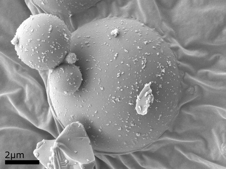 Soda-lime glass spheres (Spheriglass) imaged with the SESI detector. Particles dispersed onto sticky carbon tape before being coated in a thin layer of platinum for imaging.